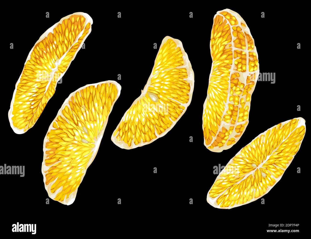 Vektor Grafik Set mit Zitrusorange Obstbaum Scheiben von Verschiedene Formen in hellen Farben Stock Vektor