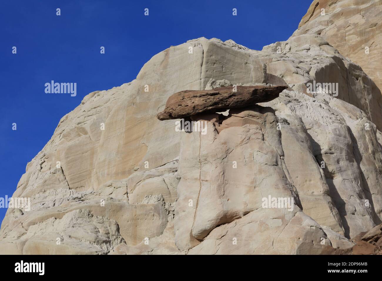 Der Toadstools Trail auf dem Paria Rimrocks im Süden Utahs. Stockfoto