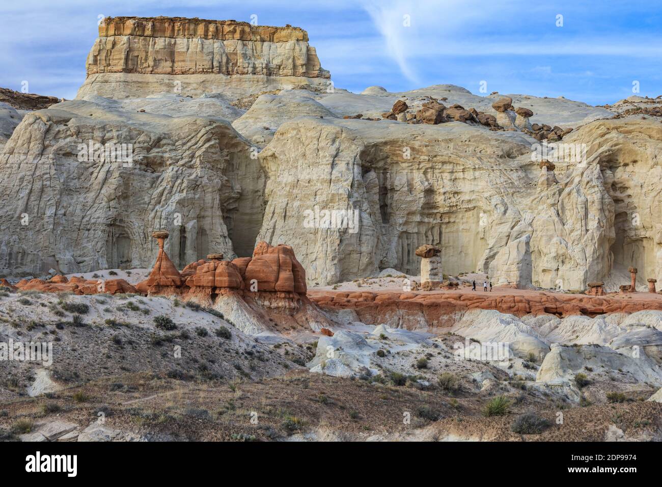 Der Toadstools Trail auf dem Paria Rimrocks im Süden Utahs. Stockfoto