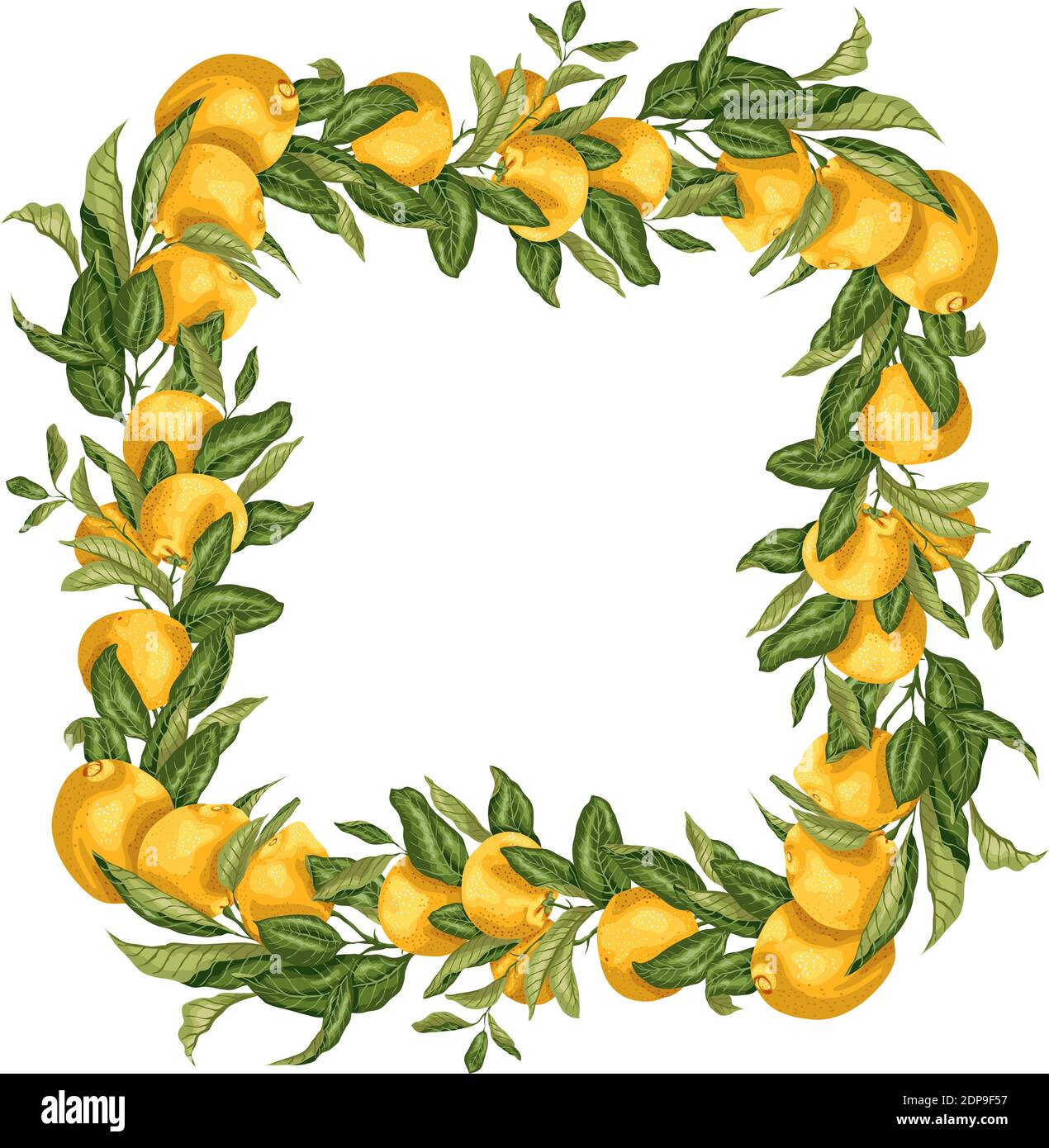 Vektor-Illustration Vorlage quadratischen Rahmen Kranz mit Zitrusfrucht Baum Zweig mit Früchten und Blättern in hellen Farben Stock Vektor