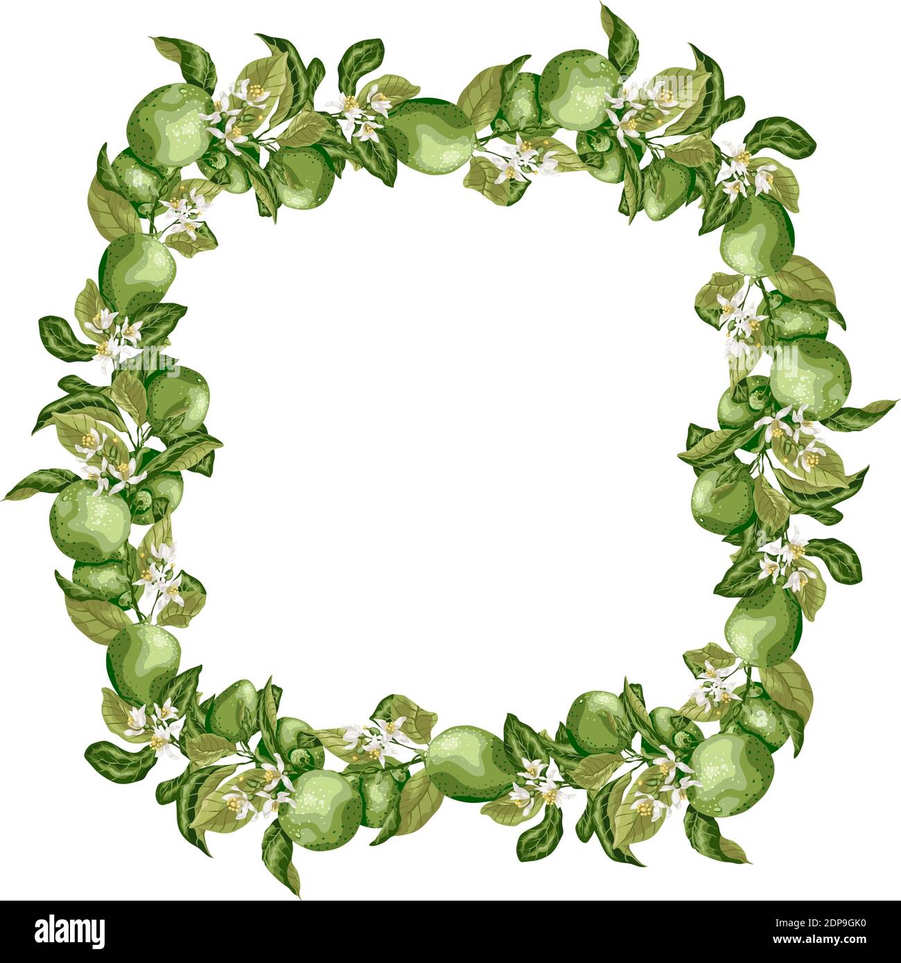 Vektor-Illustration Vorlage quadratischen Rahmen Kranz mit Zitrusfrucht Baum Zweig mit Limettenfrüchten, Blumen und Blättern in hellen Farben Stock Vektor