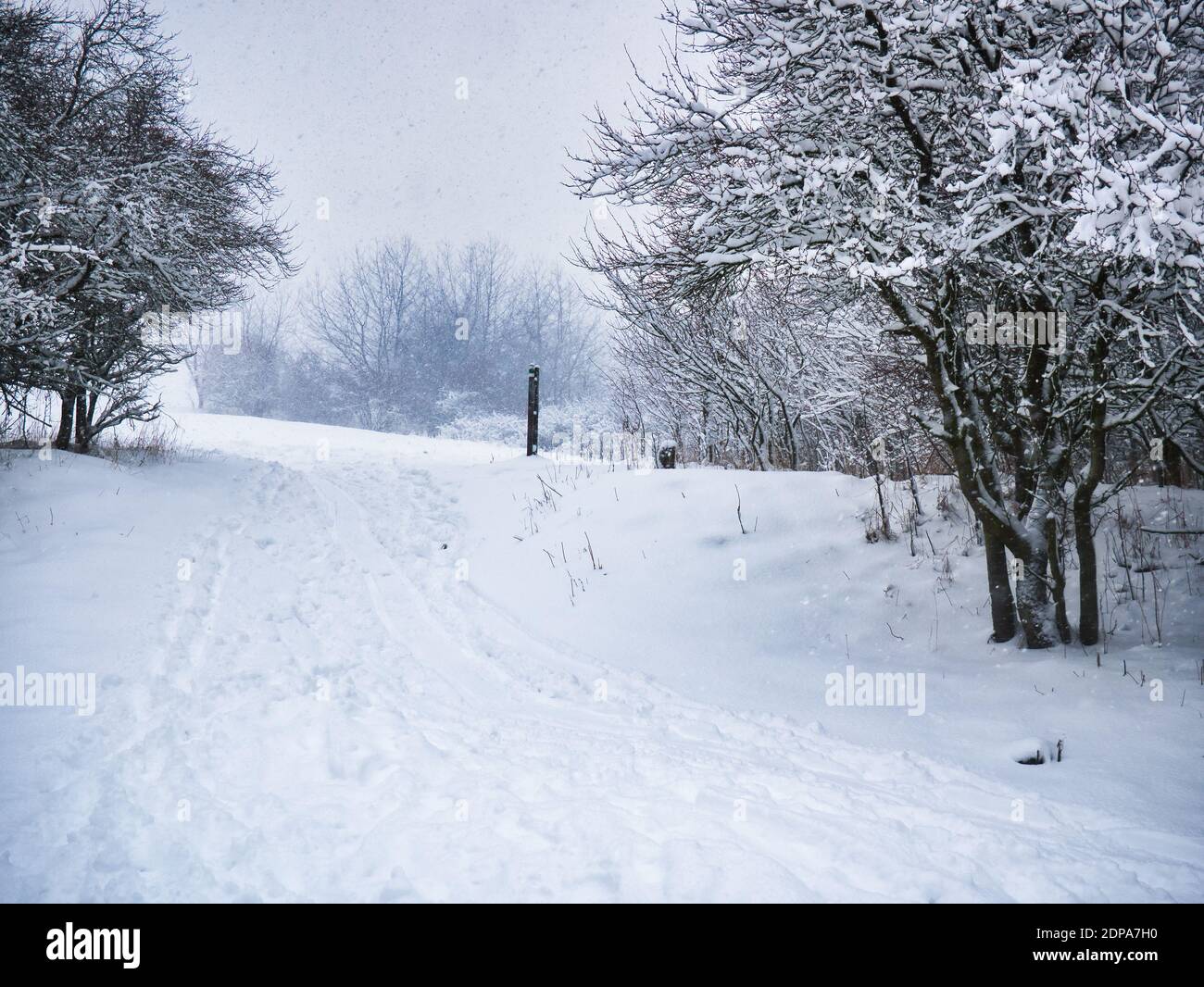 Schneebedeckter Fußweg unter einem Hügel unter Bäumen - starker Schneefall eingefangen In Bewegung Stockfoto