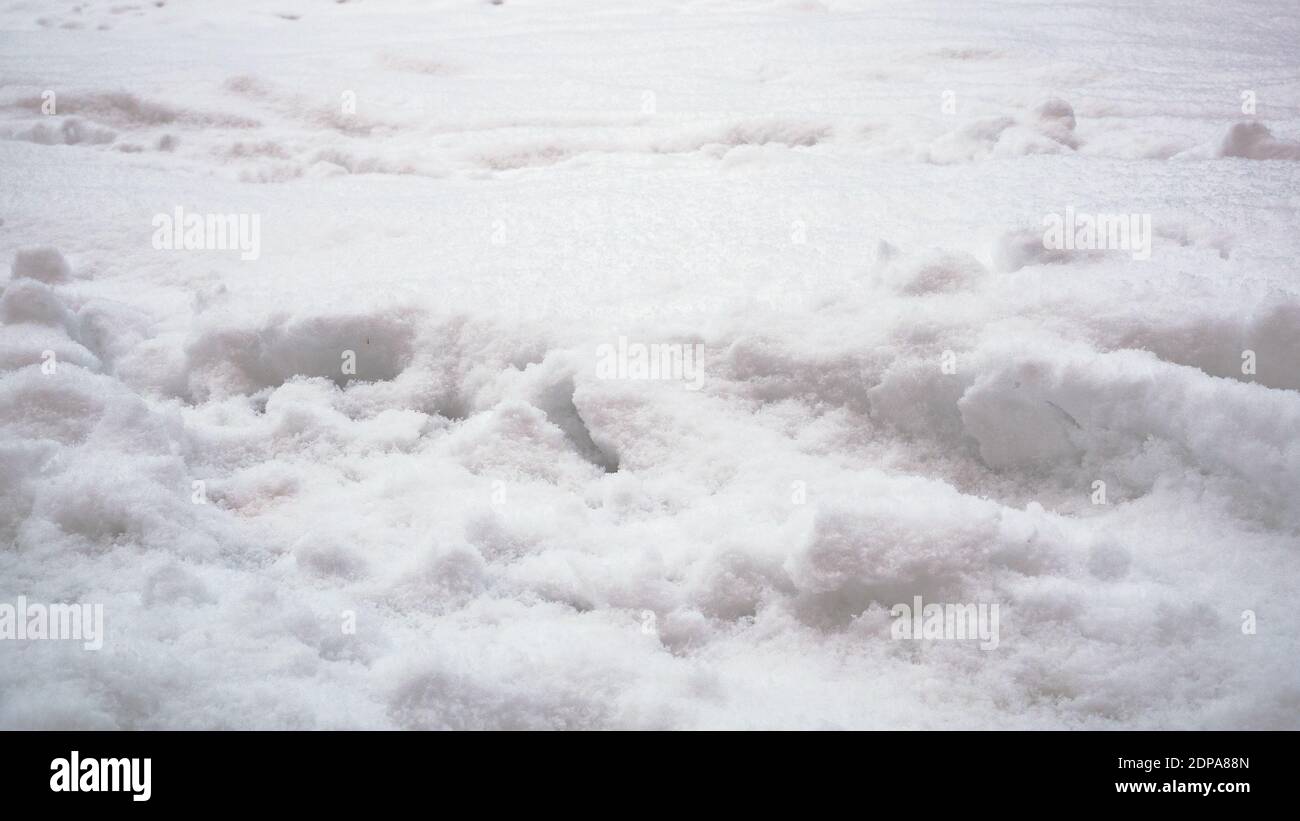 Degradierte Fußabdrücke im Tiefschnee Stockfoto