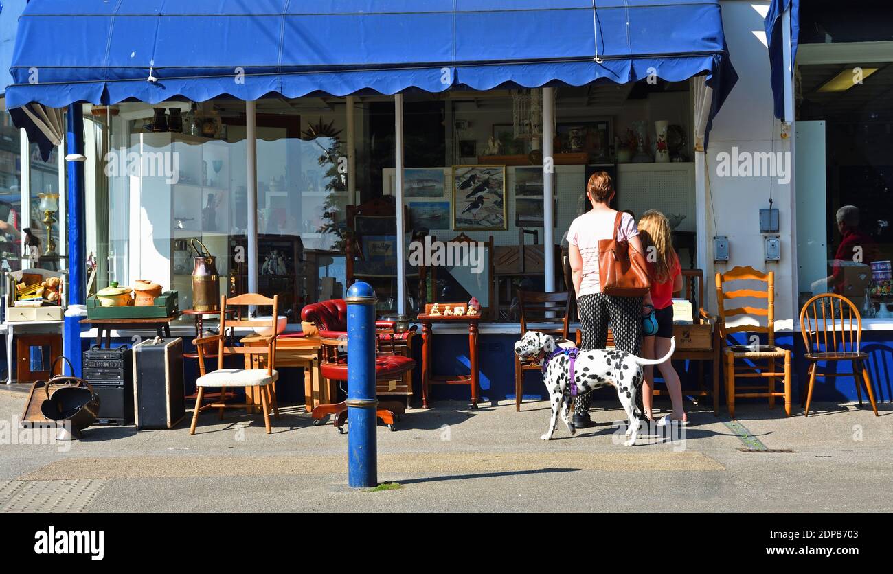 Antiquitätengeschäft mit Möbeln auf Pflaster draußen und Kunden suchen im Fenster mit Dalmatiner Hund . Stockfoto