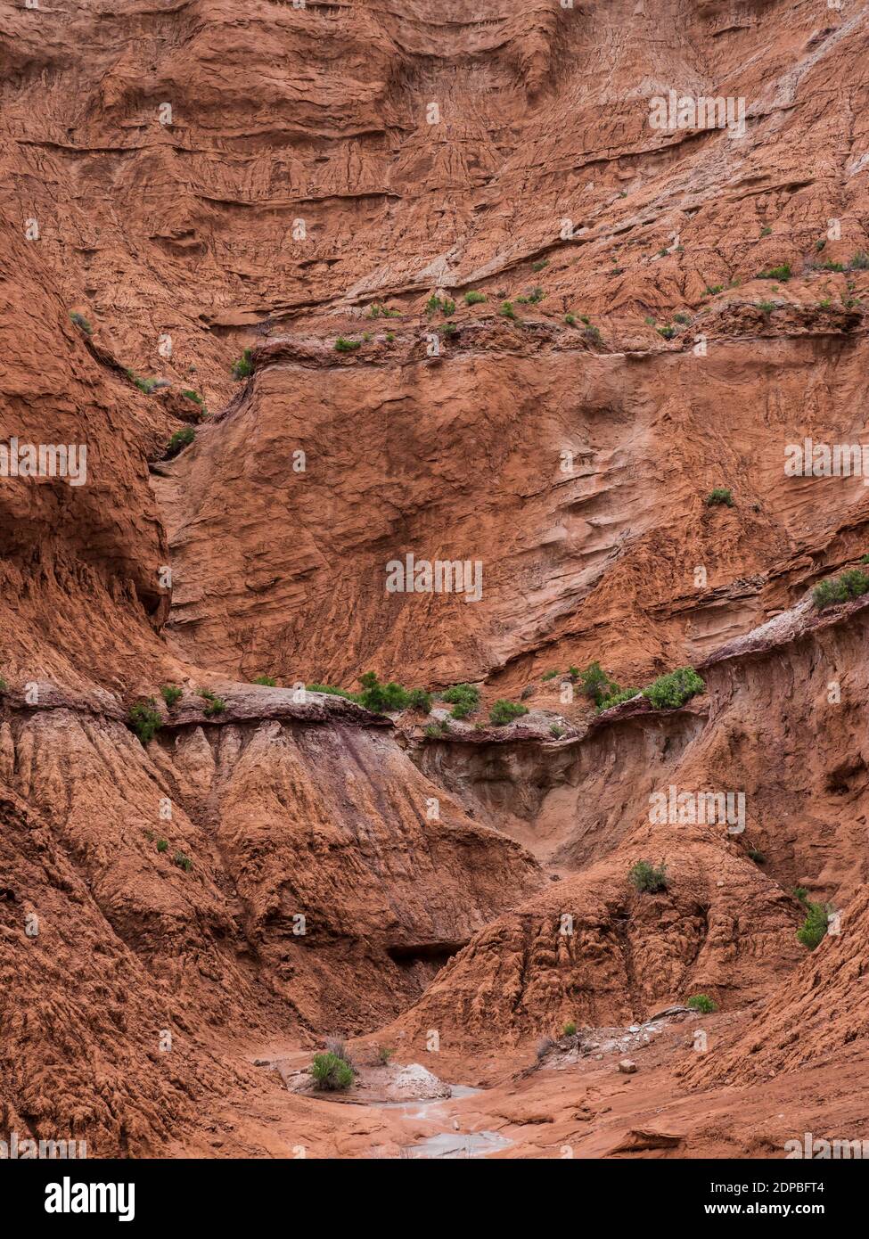 Ende des Box Canyon, Grand Parade Trail, Kodachrome Basin State Park, Cannonville, Utah. Stockfoto