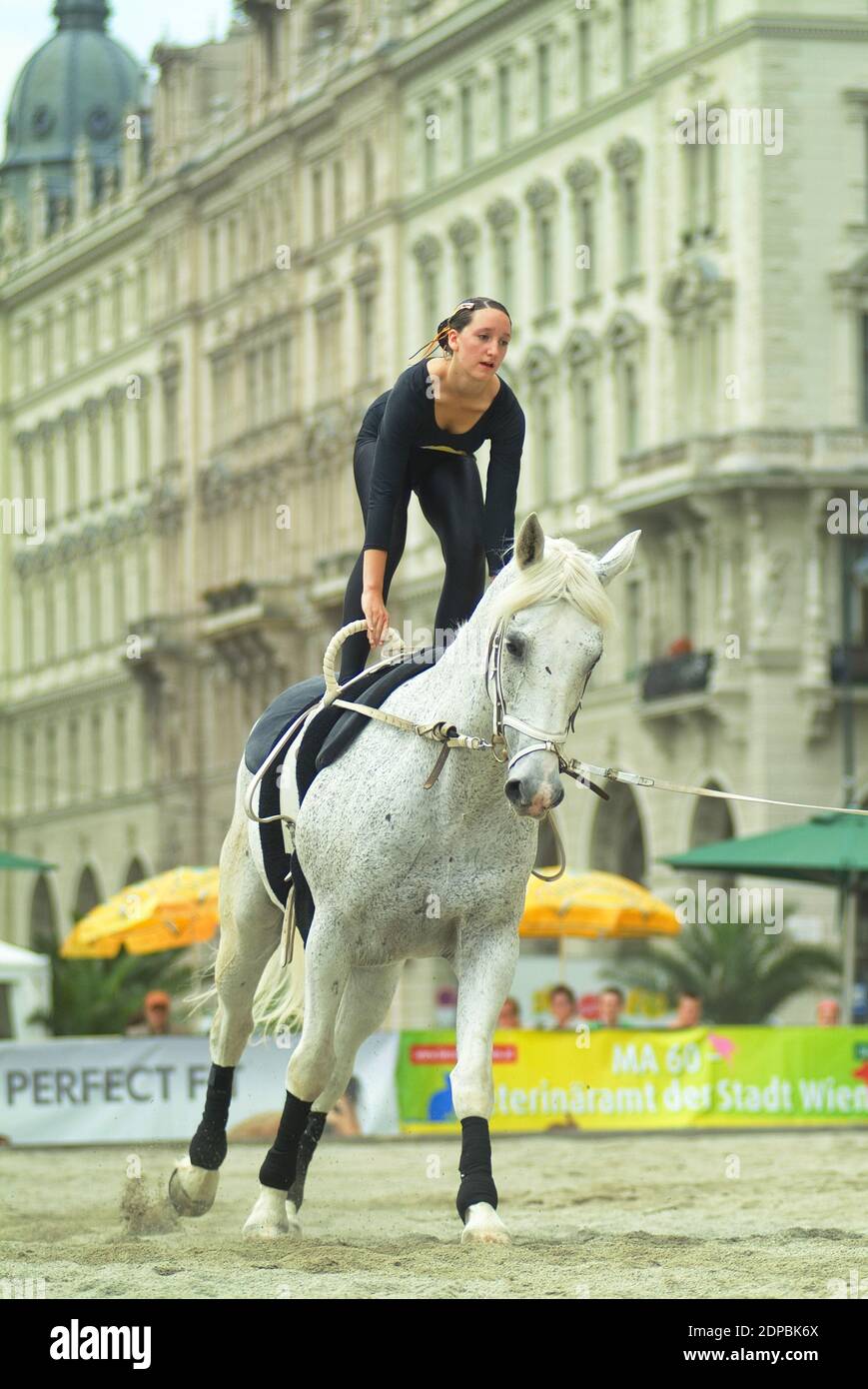 Wien, Österreich. Juni 14, 2007. Tierschutztage in Wien am Rathausplatz. Vaulting auf einem sich bewegenden Pferd. Stockfoto