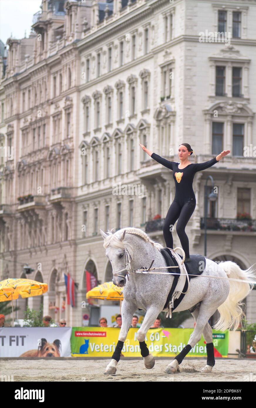 Wien, Österreich. Juni 14, 2007. Tierschutztage in Wien am Rathausplatz. Vaulting auf einem sich bewegenden Pferd. Stockfoto Wien, Österreich. Juni 14, 2007. Tierschutztage in Wien am Rathausplatz. Vaulting auf einem sich bewegenden Pferd. Stockfoto