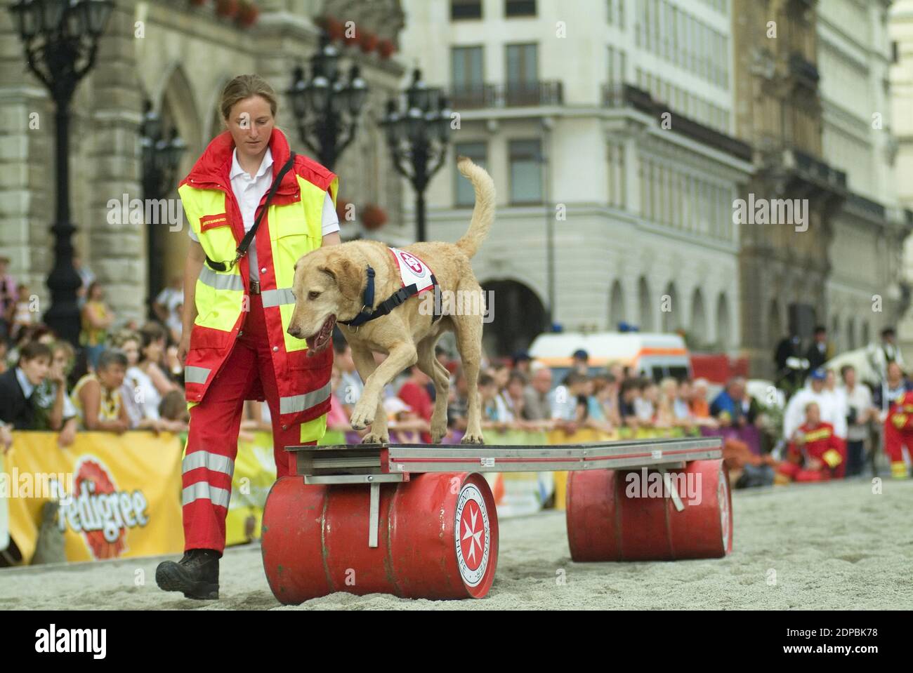 Wien, Österreich. Juni 16, 2007. Tierschutztage in Wien am Rathausplatz. Rettungshund der Samariter-Vereinigung. Stockfoto