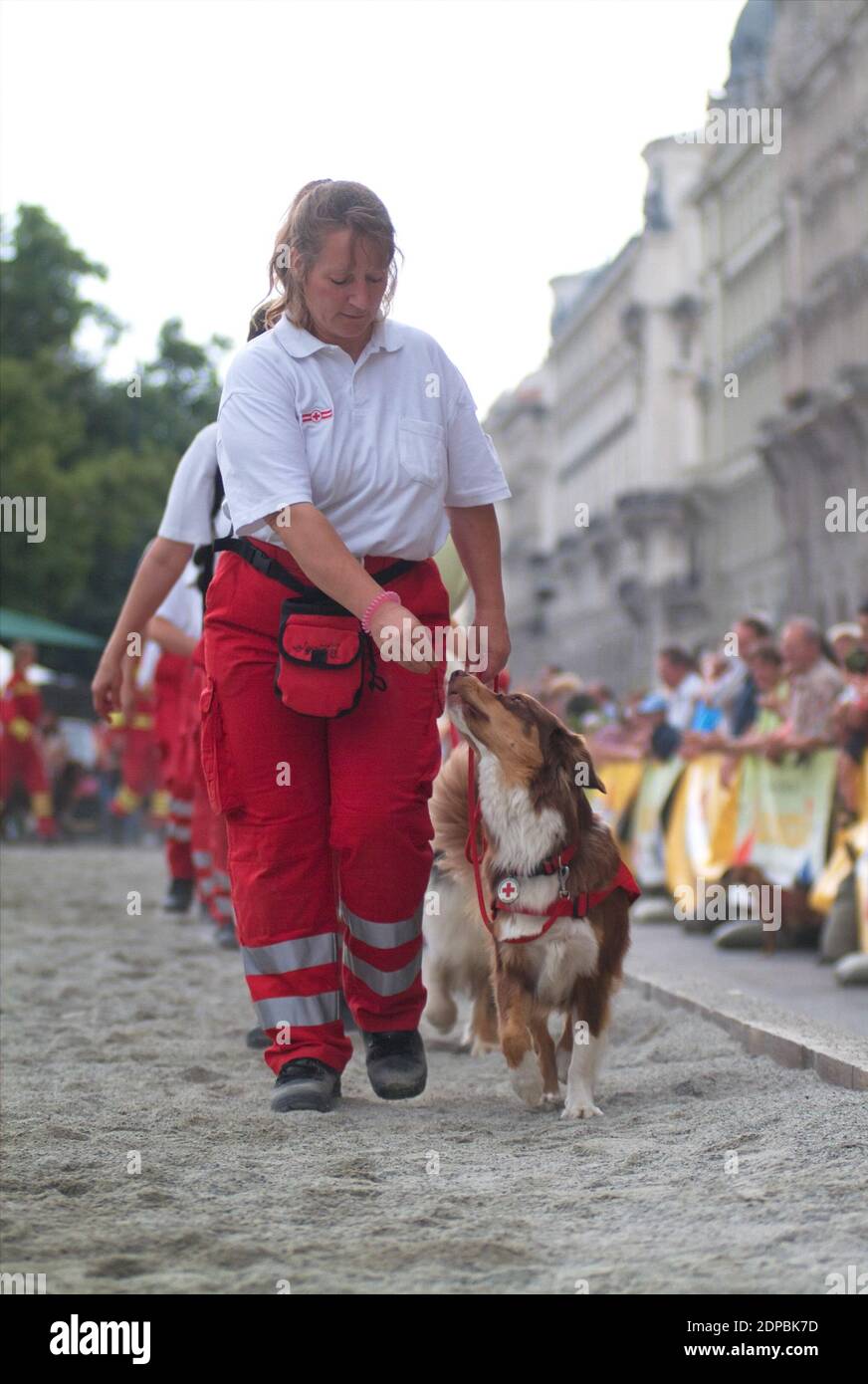 Wien, Österreich. Juni 16, 2007. Tierschutztage in Wien am Rathausplatz. Rettungshund der Samariter-Vereinigung. Stockfoto