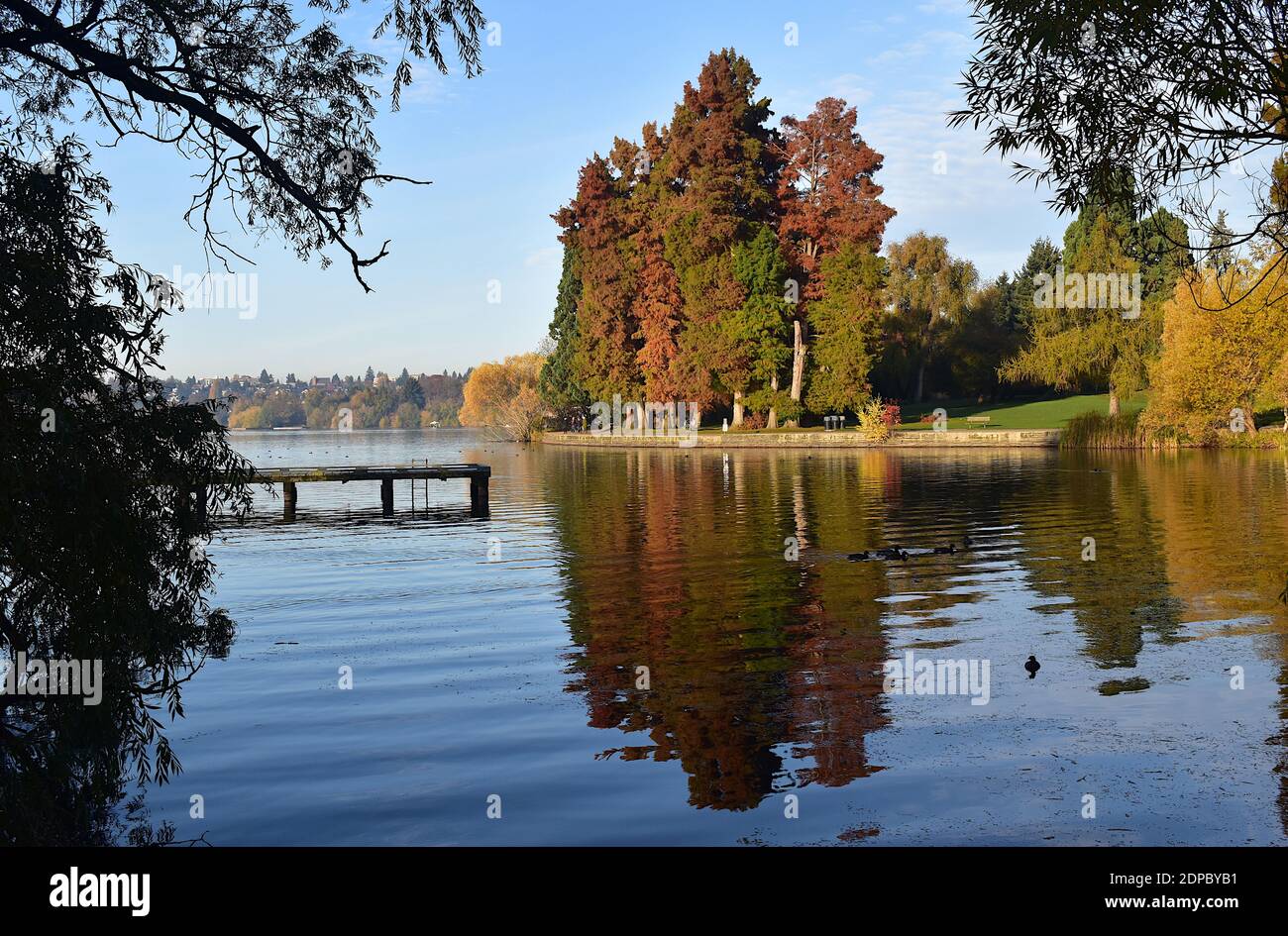 Autum im Nordwesten am GreenLake Park mit Docks, Enten und Bäumen. GreenLake - Seattle, Washington Staat USA Stockfoto