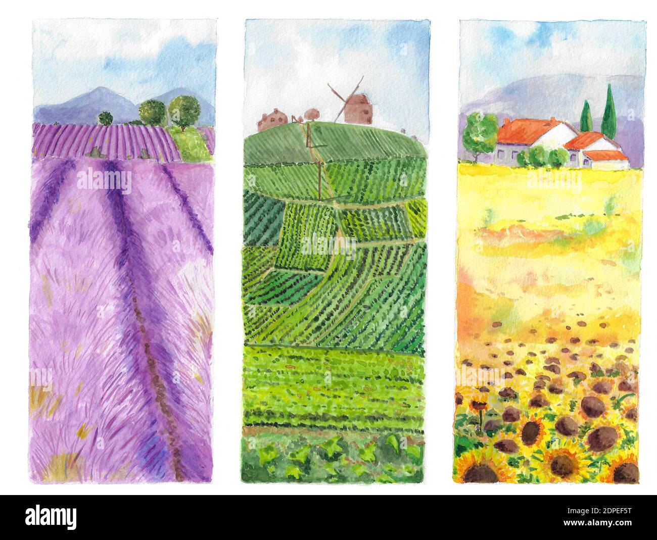 Sammlung Kunstwerke Französisch Provence mit Lavendel, Weinberge und Sonnenblumen Stockfoto