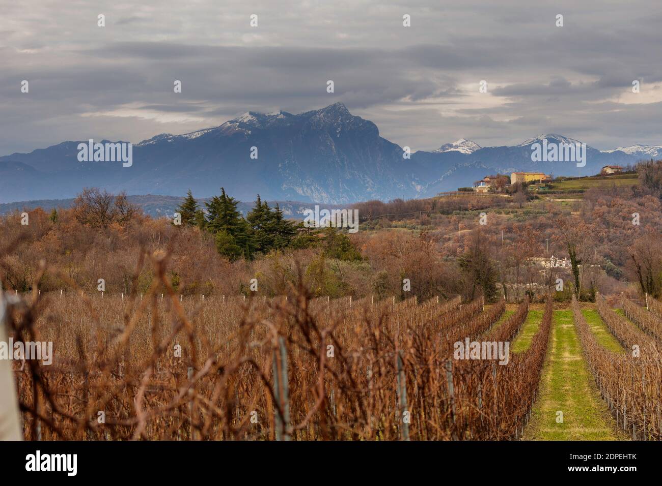 Incaffi Weinberge in der Provinz Verona mit dem eindrucksvollen Monte Pizzocolo im Hintergrund, ein Berg in der Brescia und Gardesane Voralpen. Stockfoto