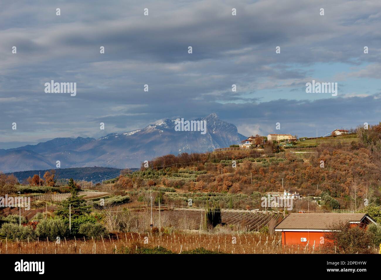 Incaffi Weinberge in der Provinz Verona mit dem eindrucksvollen Monte Pizzocolo im Hintergrund, ein Berg in der Brescia und Gardesane Voralpen. Stockfoto