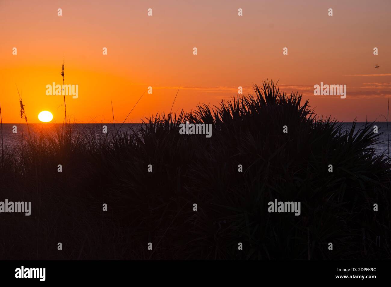 Sonnenuntergang über dem Golf von Mexiko Stockfoto