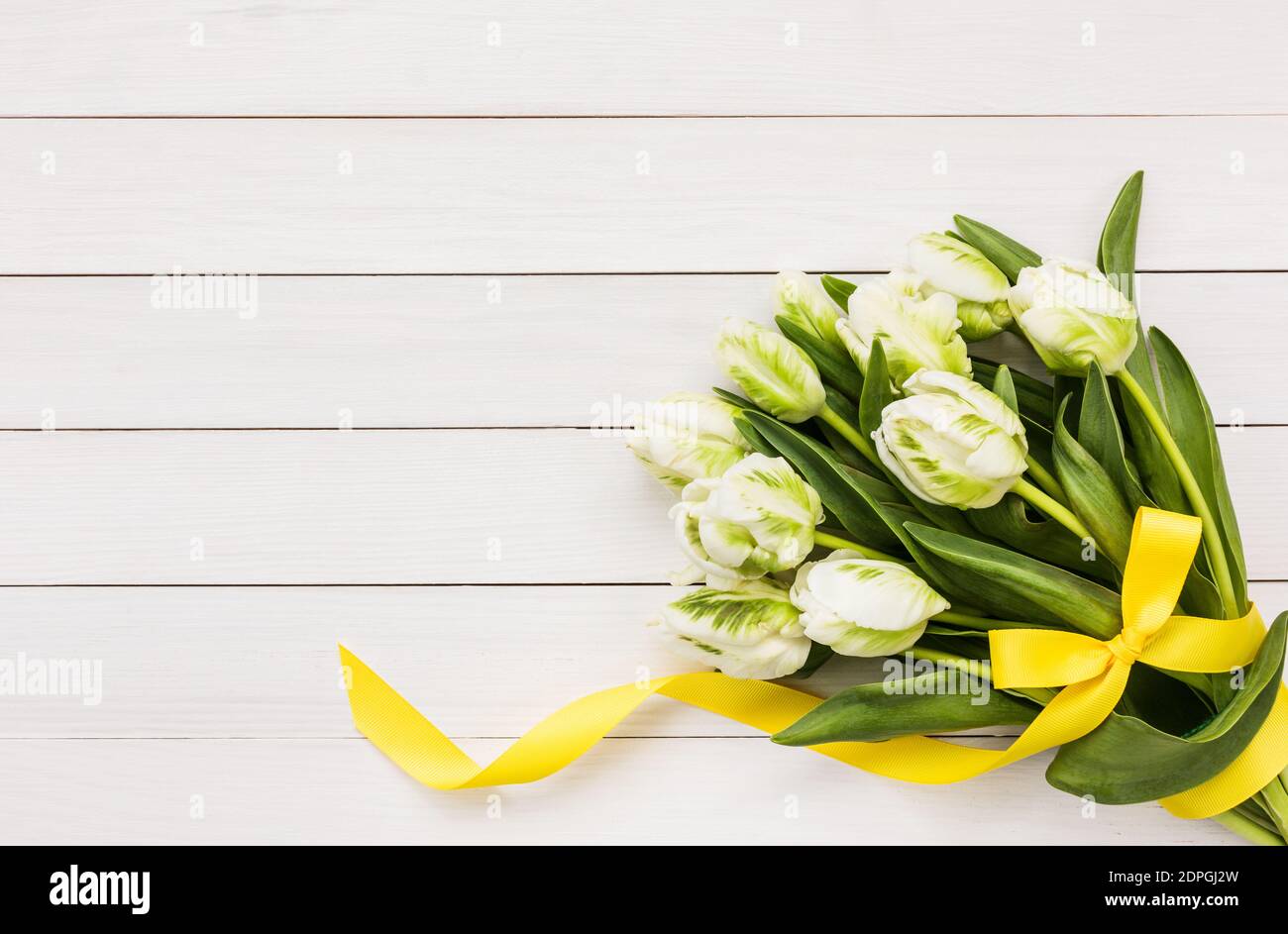 Blumenstrauß aus weißen Tulpen, verziert mit einem gelben Band auf weißem Holzhintergrund. Draufsicht, Kopierbereich Stockfoto