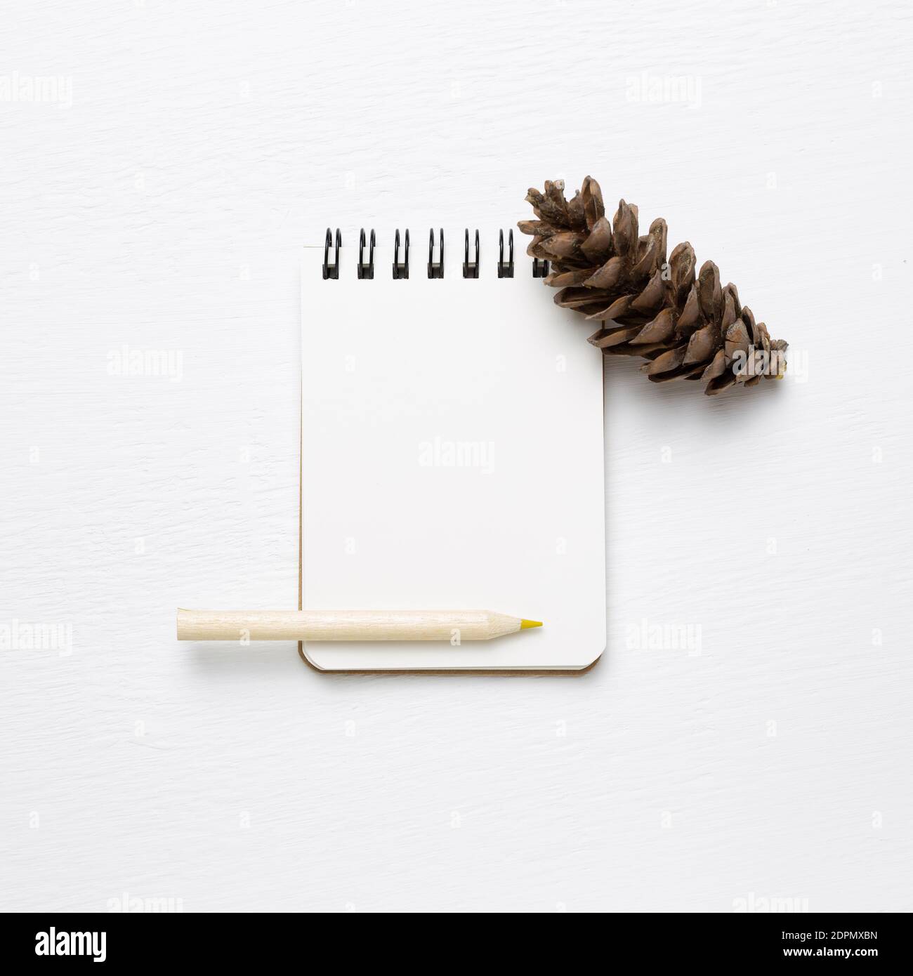 Leeres Notizbuch mit Bleistift, Tannenzapfen auf weißem Hintergrund. Draufsicht, Kopierraum Stockfoto