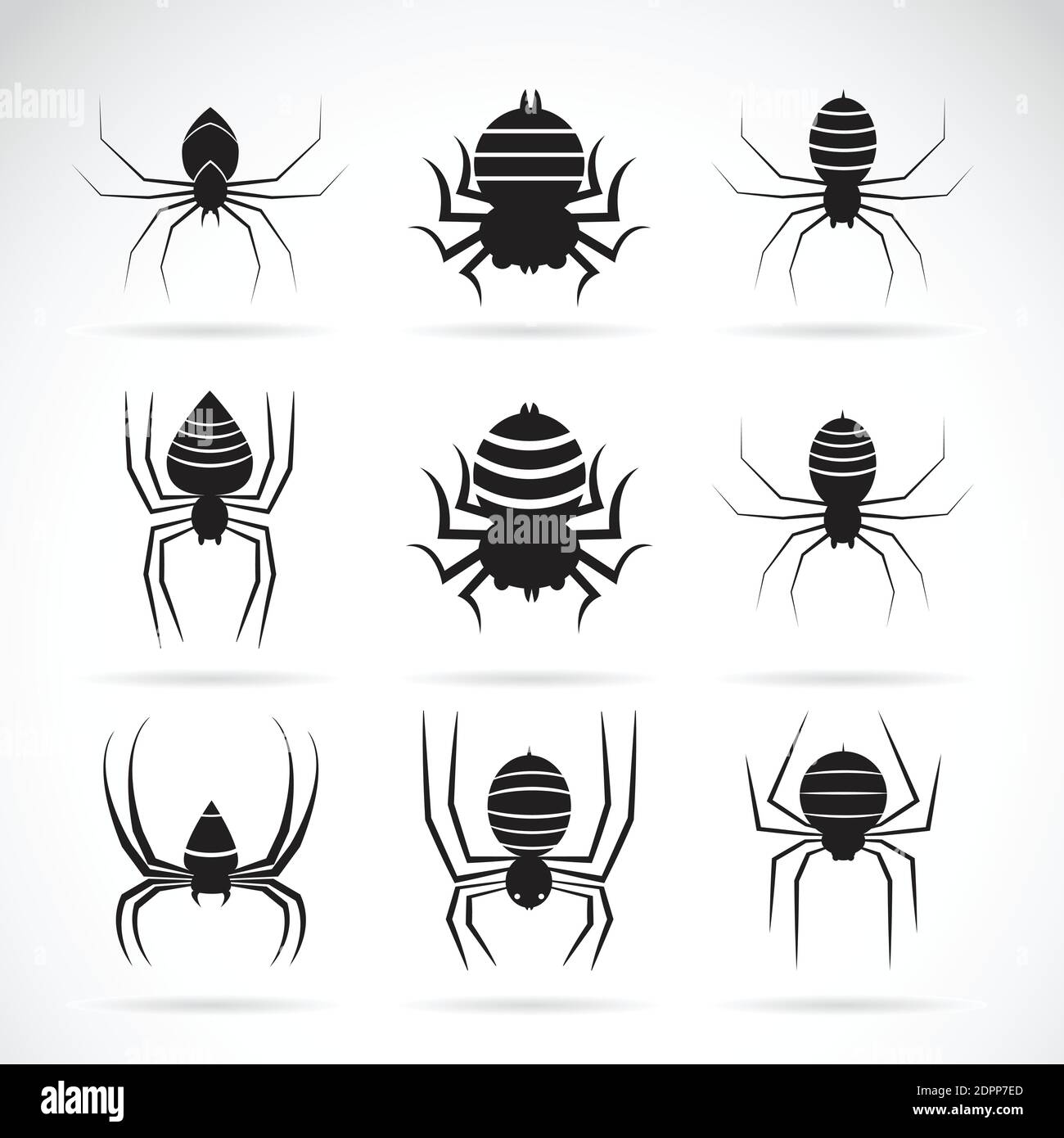Vektorgruppe von Spinnen auf weißem Hintergrund. Insektentiere. Symbol „Spinnen“. Leicht editierbare Vektorgrafik mit Ebenen. Stock Vektor