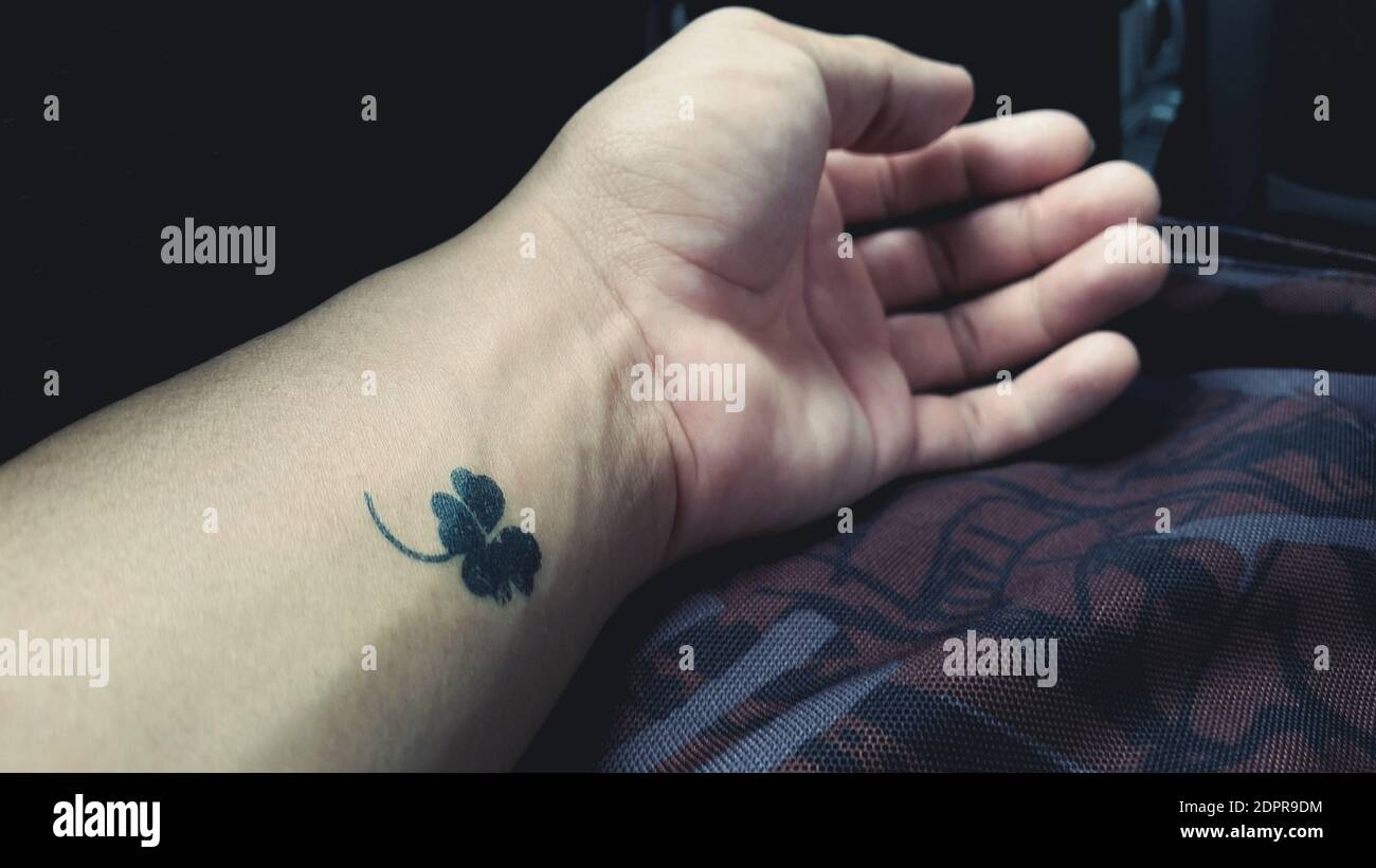 Henna Tattoo Farbe Kaufen Dm Sommersprossen Tutorial Rola Vlogs