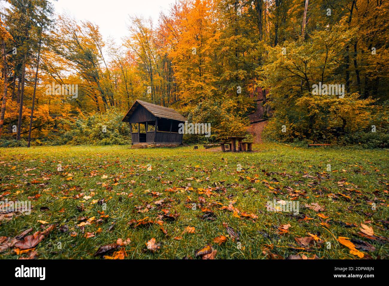 Herbstszene mit Holzhütte. Entspannende Natur, niedriger Blickwinkel, bunte Baumblätter. Herbst Berglandschaft, entspannen friedliche Naturlandschaft. Wandern Stockfoto