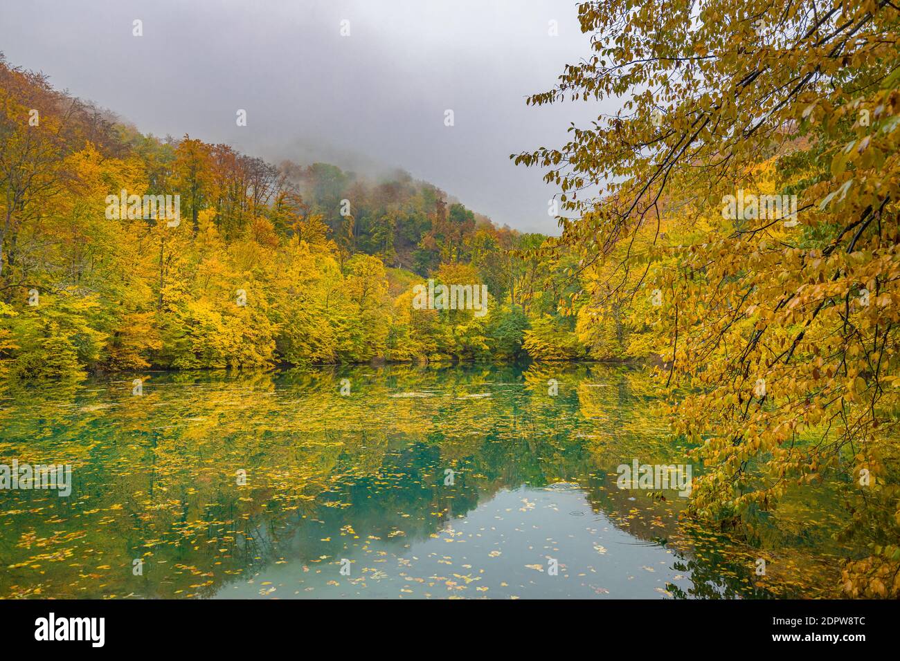 Schöner, bunter Herbstsee. Erstaunliche Wasserspiegelung, friedliche Naturlandschaft. Gelb-orange Blätter, nebeliges Morgenlicht. Entspannen Sie sich im Herbst Stockfoto