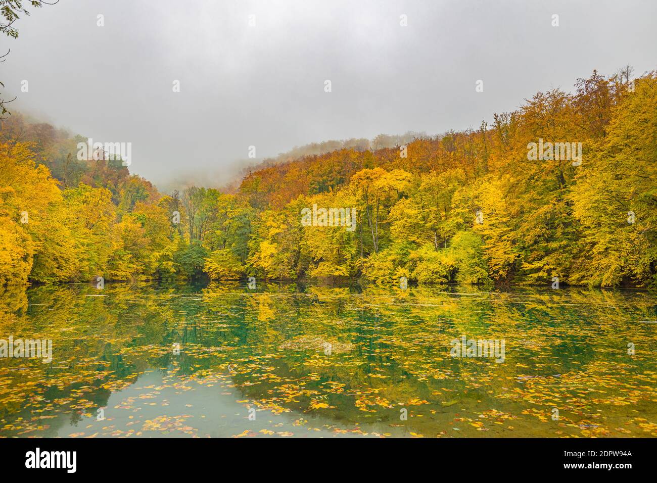 Schöner, bunter Herbstsee. Erstaunliche Wasserspiegelung, friedliche Naturlandschaft. Gelb-orange Blätter, nebeliges Morgenlicht. Entspannen Sie sich im Herbst Stockfoto