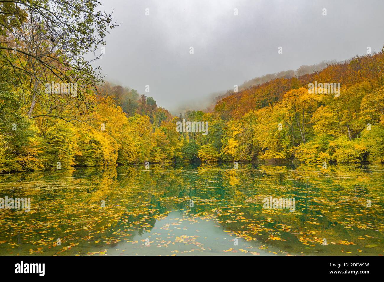 Schöner, bunter Herbstsee. Erstaunliche Wasserspiegelung, friedliche Naturlandschaft. Gelb-orange Blätter, nebeliges Morgenlicht. Entspannen Sie sich im Herbst Stockfoto