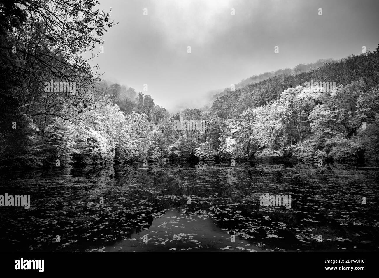 Nebliger Bergsee in schwarz und weiß. Dramatischer Herbstsee mit künstlerischem monochromen Prozess. Bildende Kunst, ruhige See Wasser Reflexion Stockfoto