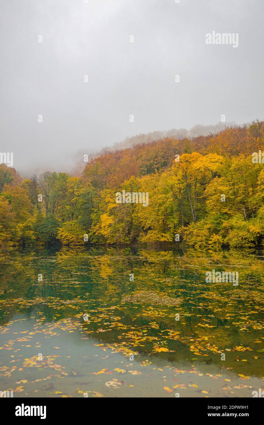 Schöner, bunter Herbstsee. Erstaunliche Wasserspiegelung, friedliche Naturlandschaft. Gelb-orange Blätter, nebeliges Morgenlicht. Entspannen Sie sich im Herbst Stockfoto