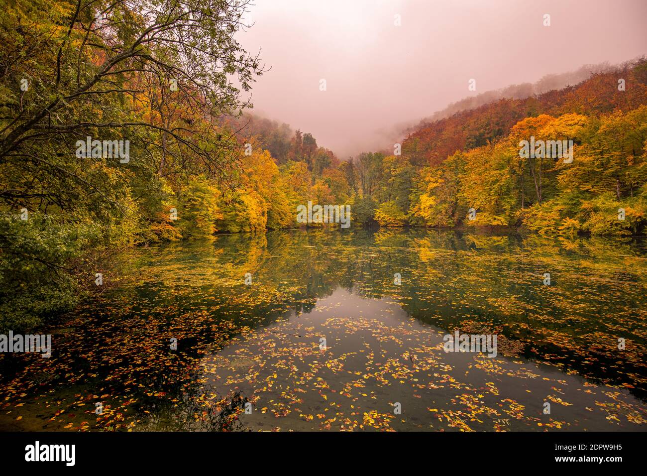 Schöner, bunter Herbstsee. Erstaunliche Wasserspiegelung, friedliche Naturlandschaft. Gelb-orange Blätter, nebeliges Morgenlicht. Entspannen Sie sich im Herbst Stockfoto