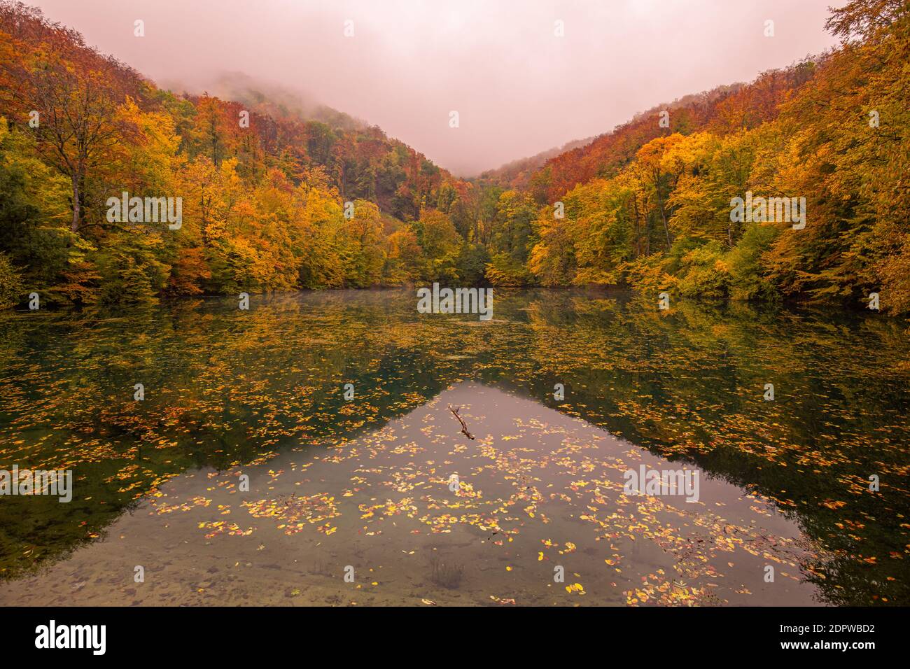Schöner, bunter Herbstsee. Erstaunliche Wasserspiegelung, friedliche Naturlandschaft. Gelb-orange Blätter, nebeliges Morgenlicht. Entspannen Sie sich im Herbst Stockfoto