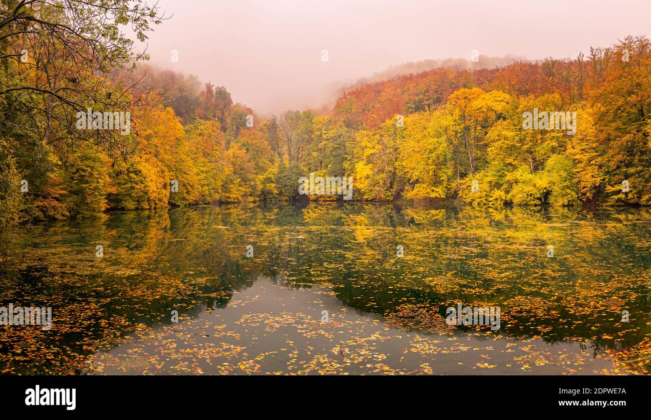 Schöner, bunter Herbstsee. Erstaunliche Wasserspiegelung, friedliche Naturlandschaft. Gelb-orange Blätter, nebeliges Morgenlicht. Entspannen Sie sich im Herbst Stockfoto