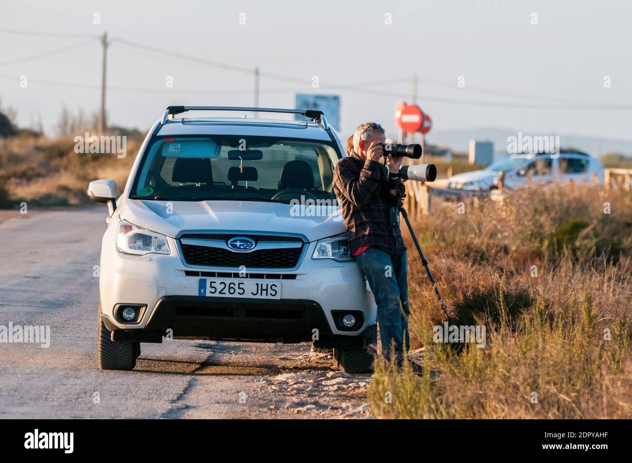 Fotograf, fotografieren von Vögeln mit einem Tele, Ebro Delta, Tarragona, Katalonien, Spanien Stockfoto