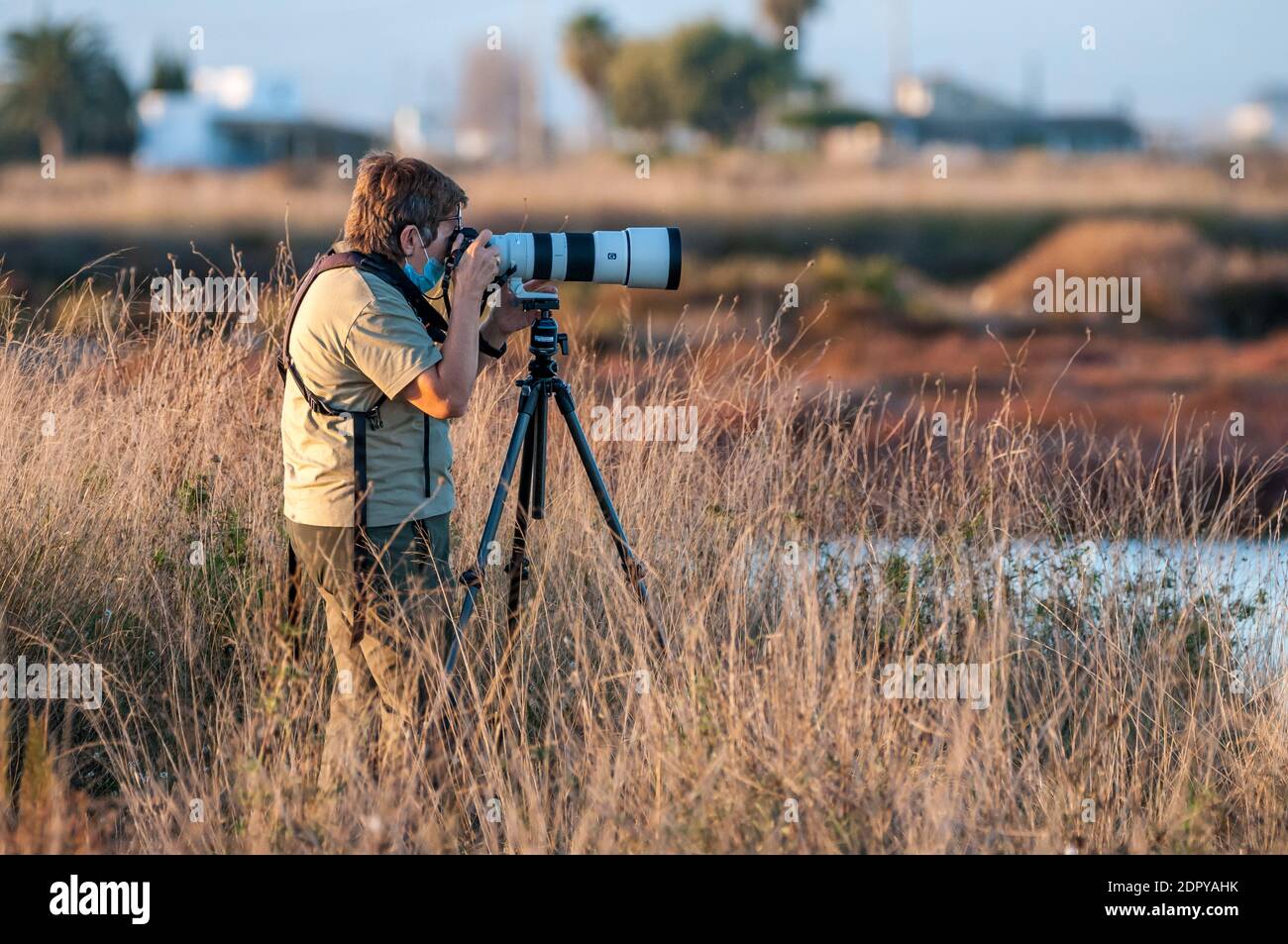 Fotografin, reife Frau, Fotografieren von Vögeln mit Tele, Ebro Delta, Tarragona, Katalonien, Spanien Stockfoto