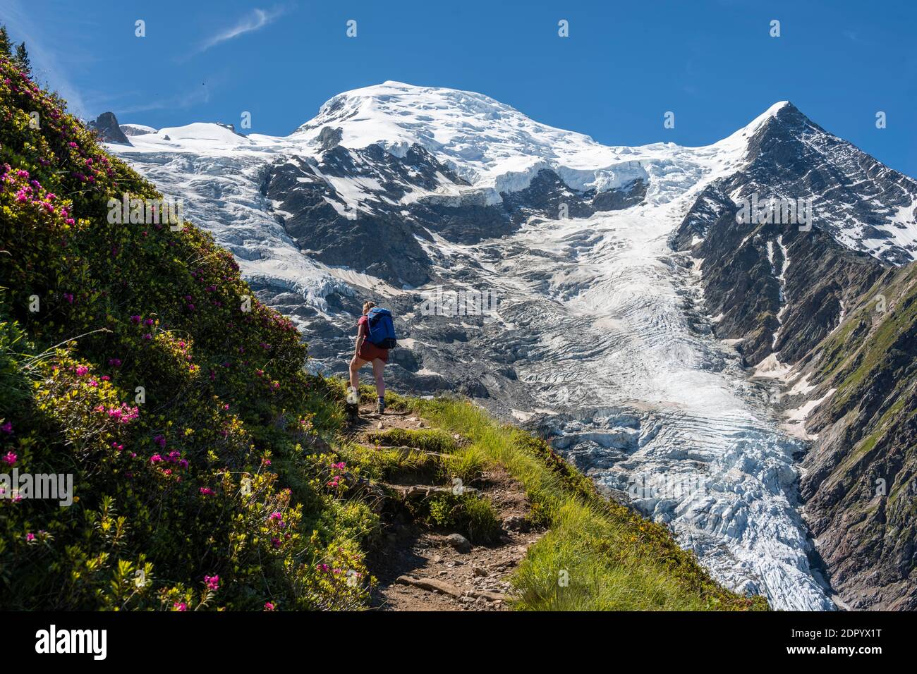 Wanderer auf Wanderweg, Berglandschaft, Blick auf Gletscher Glacier de Taconnaz, Wandern La Jonction, Chamonix, Haute-Savoie, Frankreich Stockfoto