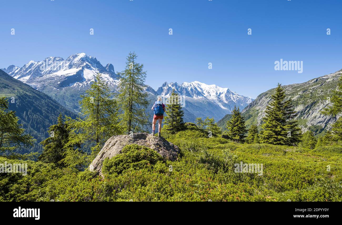 Wanderer mit Blick auf das Bergpanorama von der Aiguillette des Posettes, den Gipfeln Aiguille Verte, Aiguille du Midi und Mont Blanc, Chamonix, Haute-Savoie Stockfoto