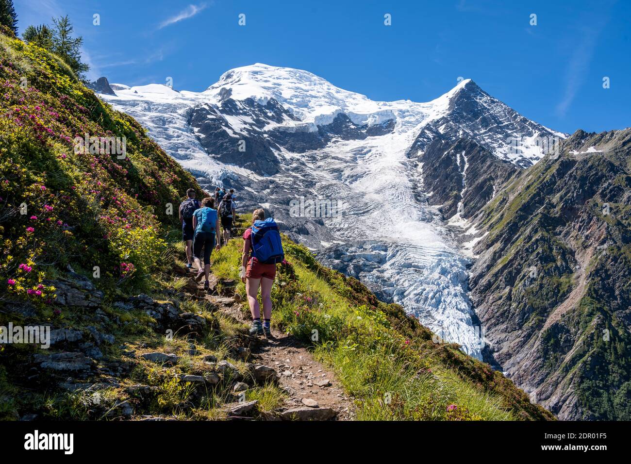 Wanderer auf Wanderweg, Berglandschaft, Blick auf Gletscher Glacier de Taconnaz, Wandern La Jonction, Chamonix, Haute-Savoie, Frankreich Stockfoto