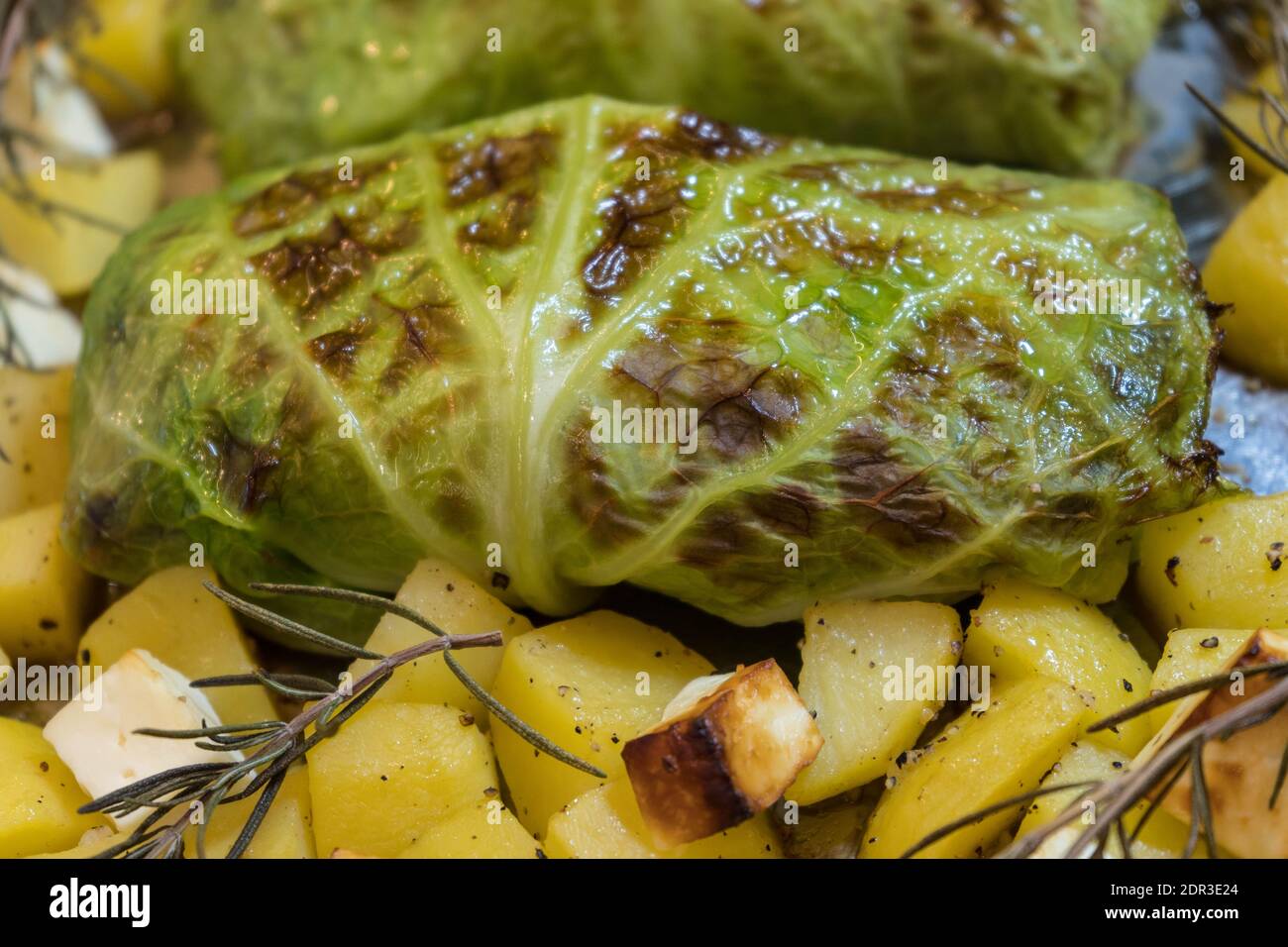 Fein gewürztes Lammfilet, eingewickelt in wirsing-Kohlblätter Stockfoto