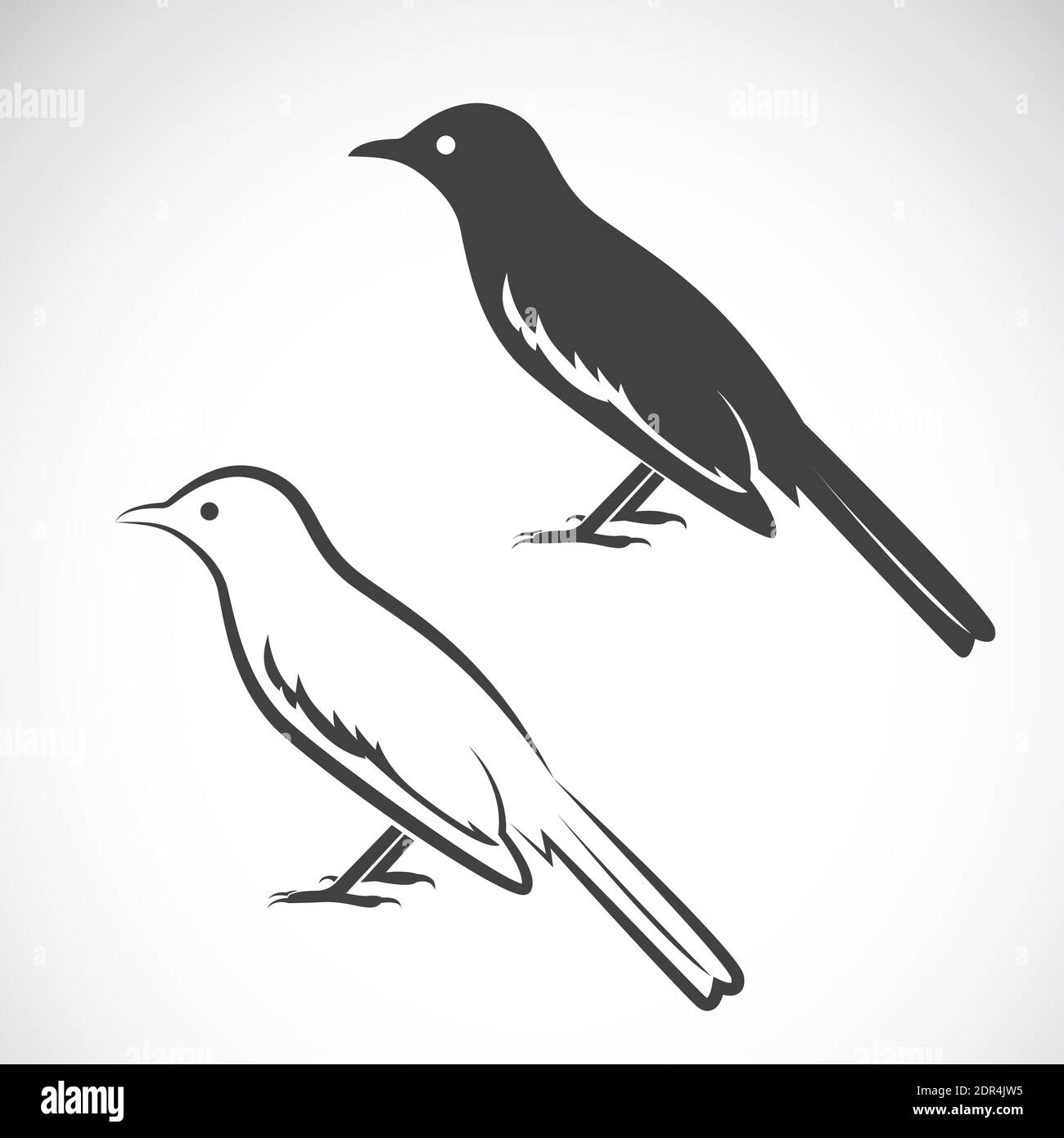 Vektor von Elster-Design auf weißem Hintergrund. Vogelsymbol. Vektorgrafik. Leicht editierbare Vektorgrafik mit Ebenen. Wilde Tiere. Stock Vektor
