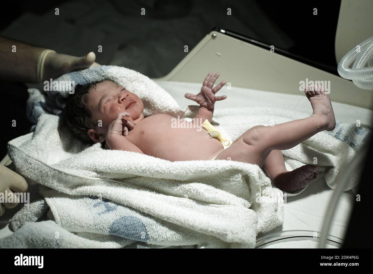 Neugeborenes Baby unmittelbar nach der Geburt Stockfoto