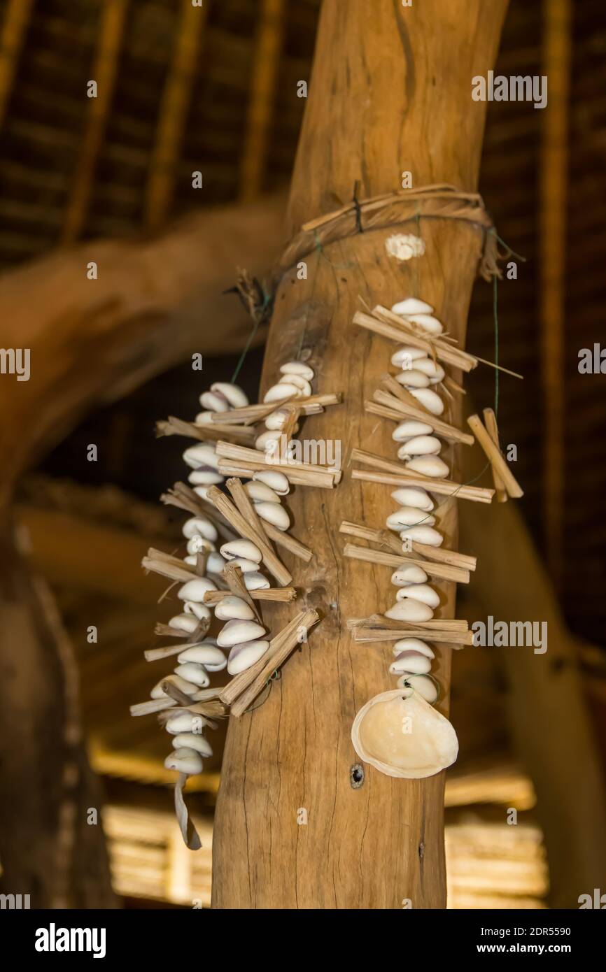 Muscheln auf einem Stück Bambus, bereit für die Zeremonie der schwarzen Magie (Juju), Ostafrika Stockfoto