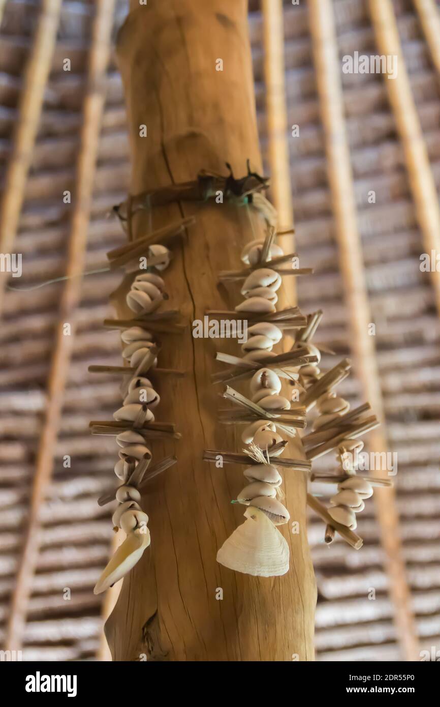 Muscheln auf einem Stück Bambus, bereit für die Zeremonie der schwarzen Magie (Juju), Ostafrika Stockfoto