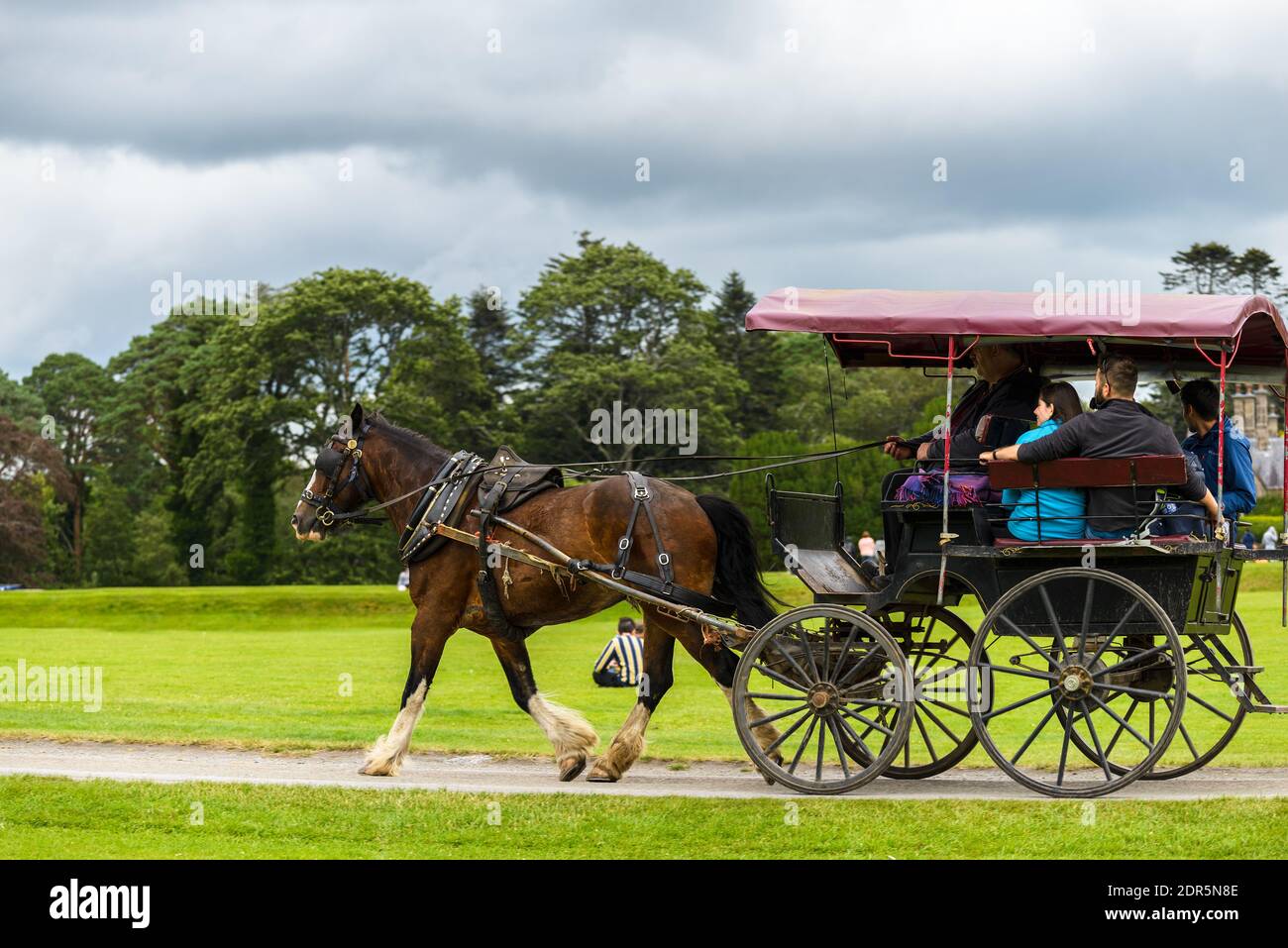 Pferde und Wagen im Killarney National Park, in der Nähe der Stadt Killarney, County Kerry, Irland Stockfoto
