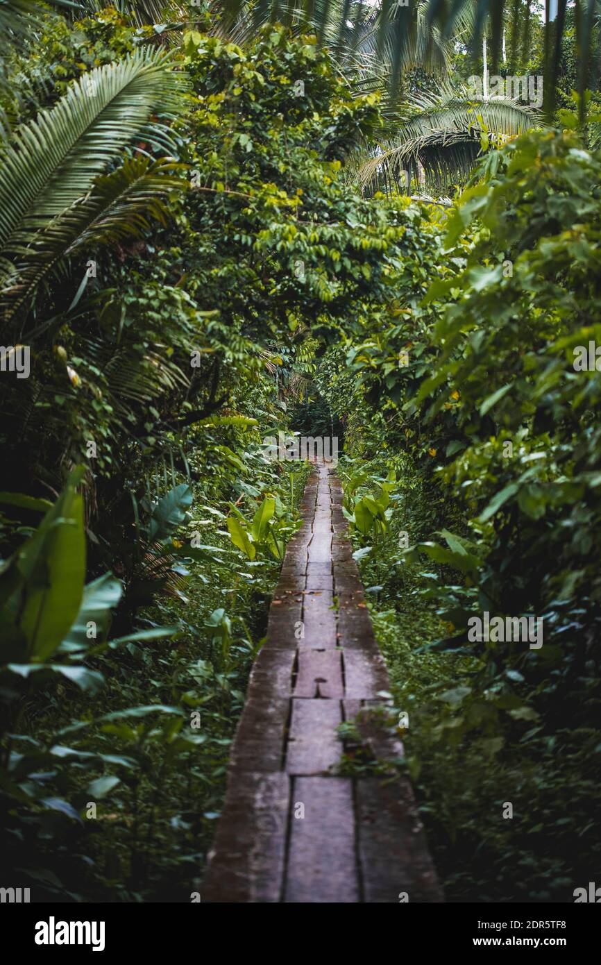 Shuar Territory, Amazonas, Ecuador Stockfoto