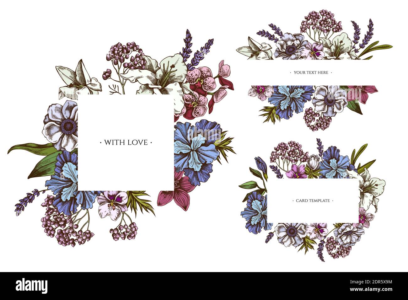 Blumenrahmen mit farbigen Anemone, Lavendel, Rosmarin Everlasting, phalaenopsis, Lilie, Iris Stock Vektor