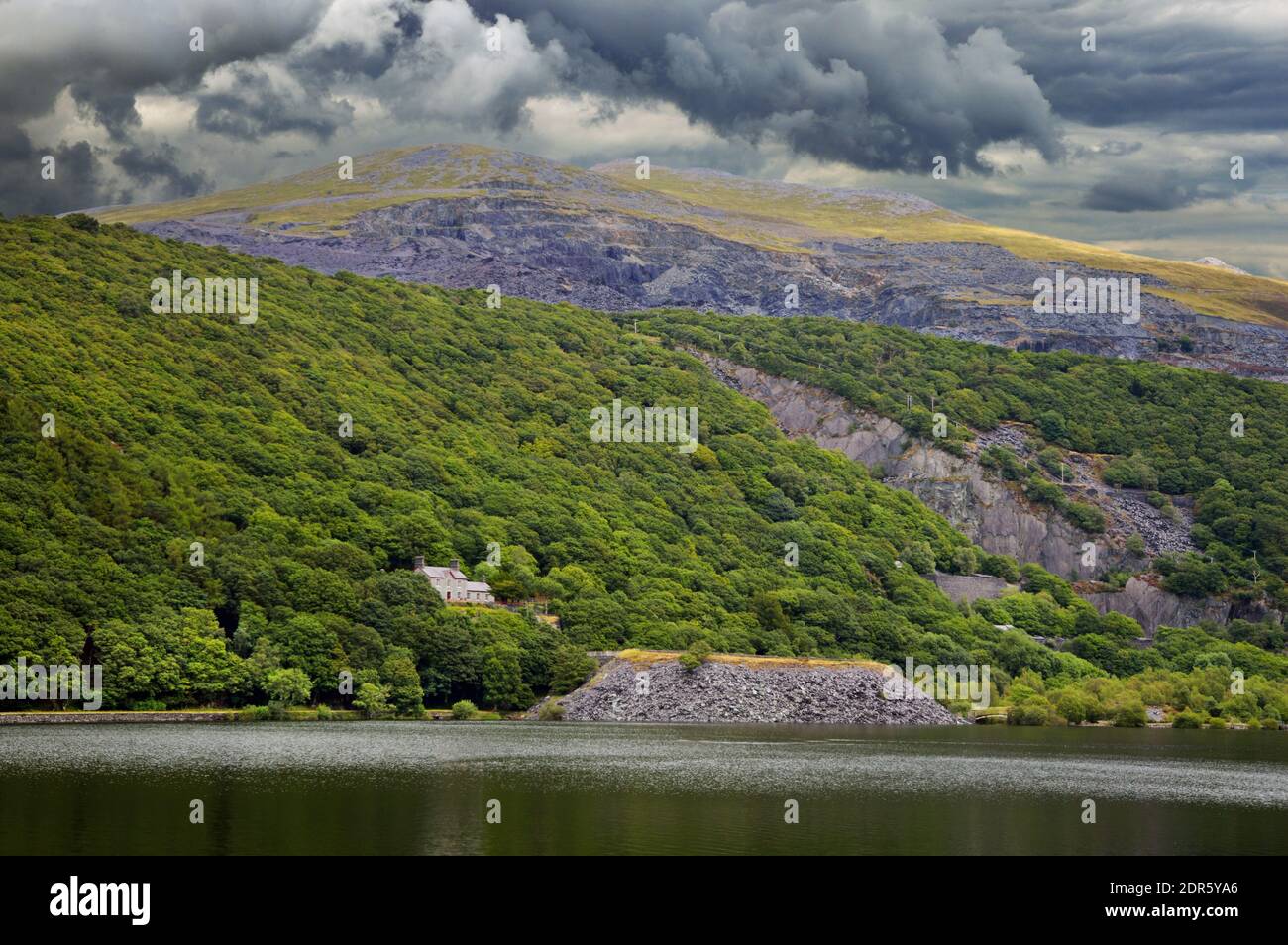 Coed Dinorwig ist ein beeindruckender alter Wald auf einem Hügel mit Blick auf Llyn Padarn neben Llanberis im Snowdonia Nationalpark. Stockfoto