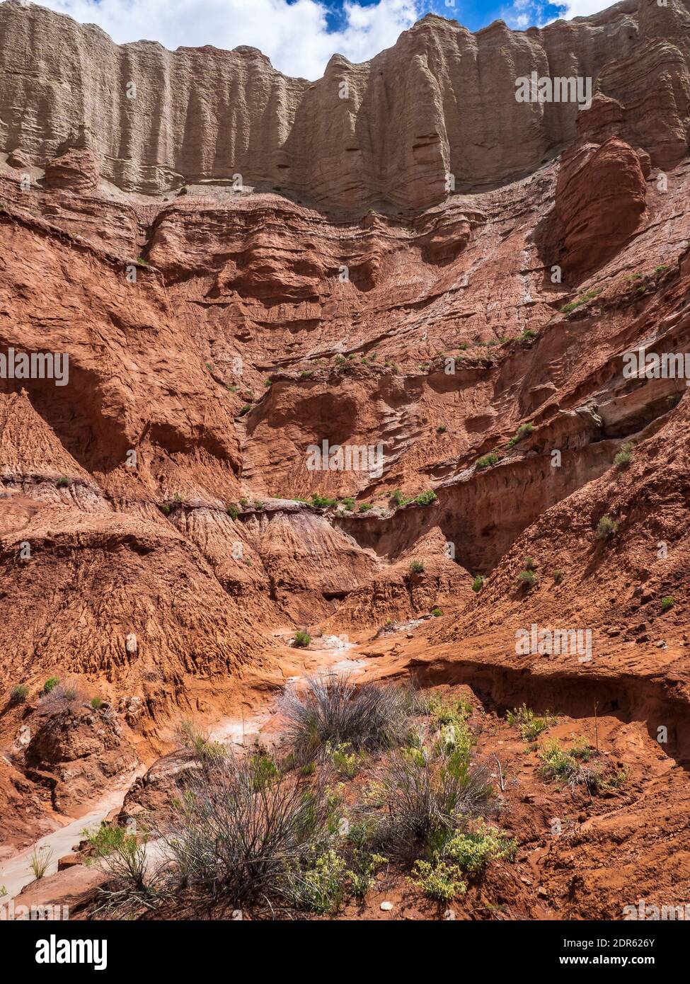 Ende des Box Canyon, Grand Parade Trail, Kodachrome Basin State Park, Cannonville, Utah. Stockfoto