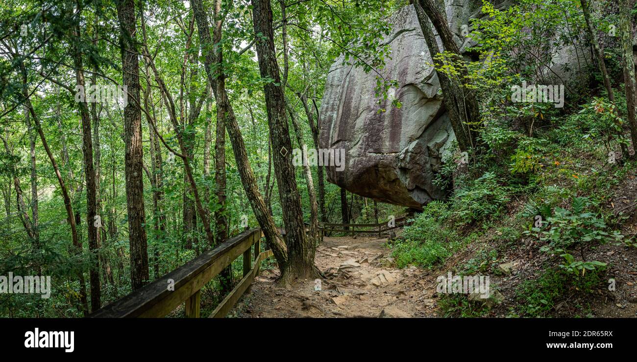 Blick auf den Cloudland Canyon State Park südlich vom Lookout Mountain, Georgia in der Nähe von Chattanooga, Tennessee. Stockfoto