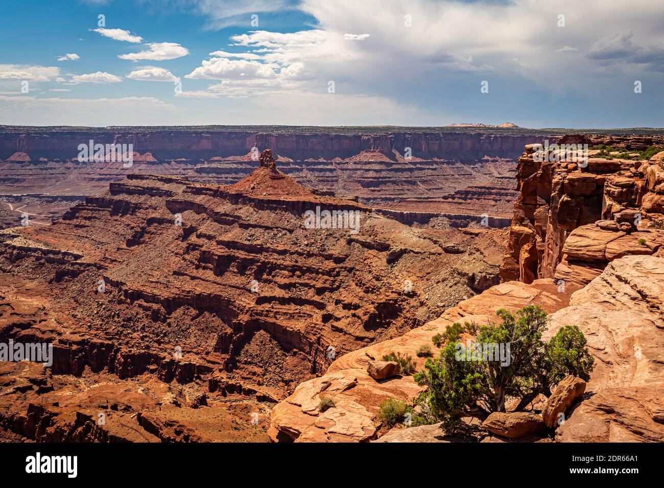 Dead Horse Point State Park in Utah bietet einen dramatische Überblick über den Colorado River und Canyonlands National Park. Stockfoto