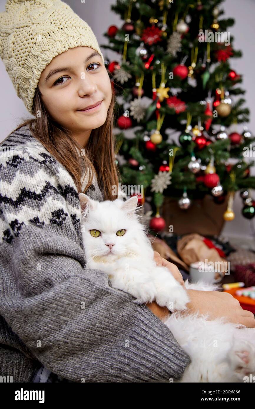 Ein Mädchen sitzt neben dem Weihnachtsbaum mit einer schönen weißen Perserkatze. Stockfoto