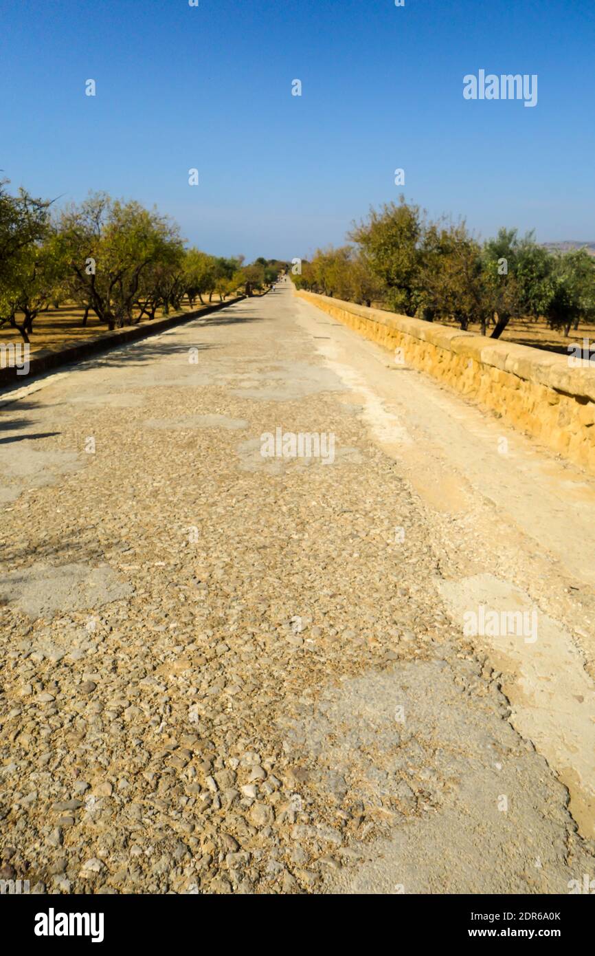 AGRIGENTO, ITALIEN - 14. Okt 2019: Eine gerade lange Römerstraße, die durch die antike Stadt Akragas im Tal der Tempel führt. Stockfoto